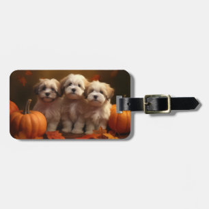 Havanese Welpe Autumn Delight Pumpkin Gepäckanhänger