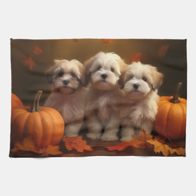 Havanese Welpe Autumn Delight Pumpkin Geschirrtuch (Horizontal)