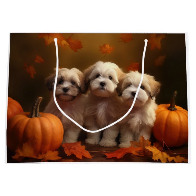 Havanese Welpe Autumn Delight Pumpkin Große Geschenktüte (Vorderseite)