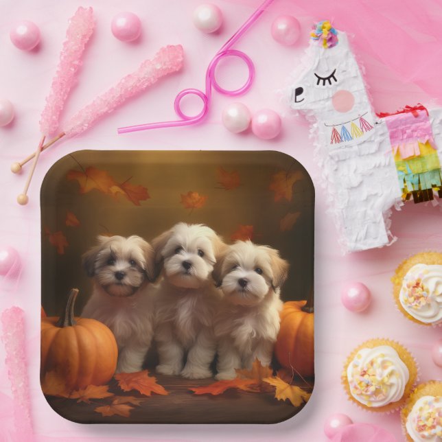 Havanese Welpe Autumn Delight Pumpkin Pappteller (Party)