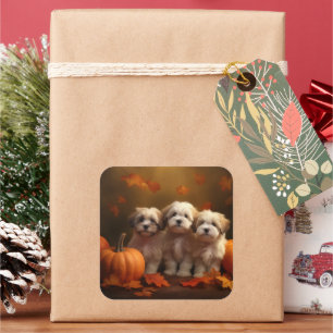 Havanese Welpe Autumn Delight Pumpkin Quadratischer Aufkleber