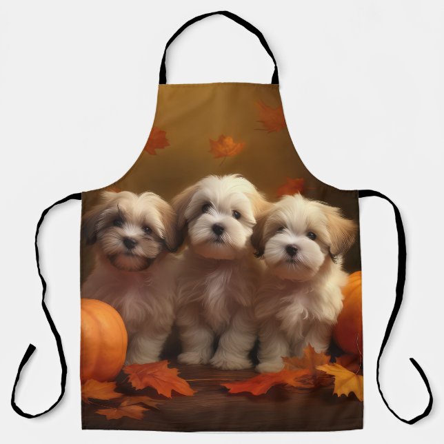 Havanese Welpe Autumn Delight Pumpkin Schürze (Vorderseite)