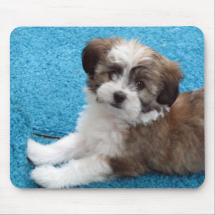 Havanese Welpe - besonders angefertigt Mousepad
