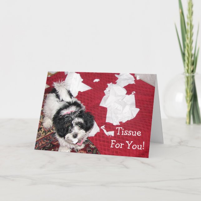 Havanese Welpe - Get Well Card - Gewebe für Sie! Karte (Vorderseite)