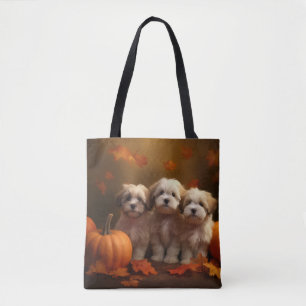 Havanese Welpe Herbstfreude Kürbis