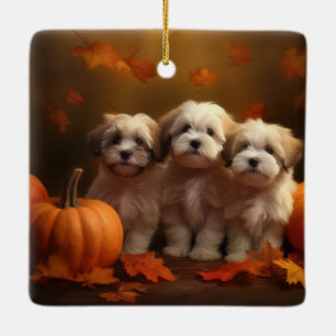 Havanese Welpe Herbstfreude Kürbis Keramikornament