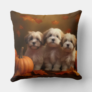 Havanese Welpe Herbstfreude Kürbis Kissen