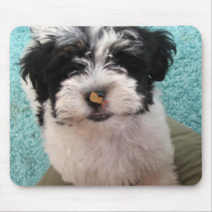 Havanese Welpe Mousepad