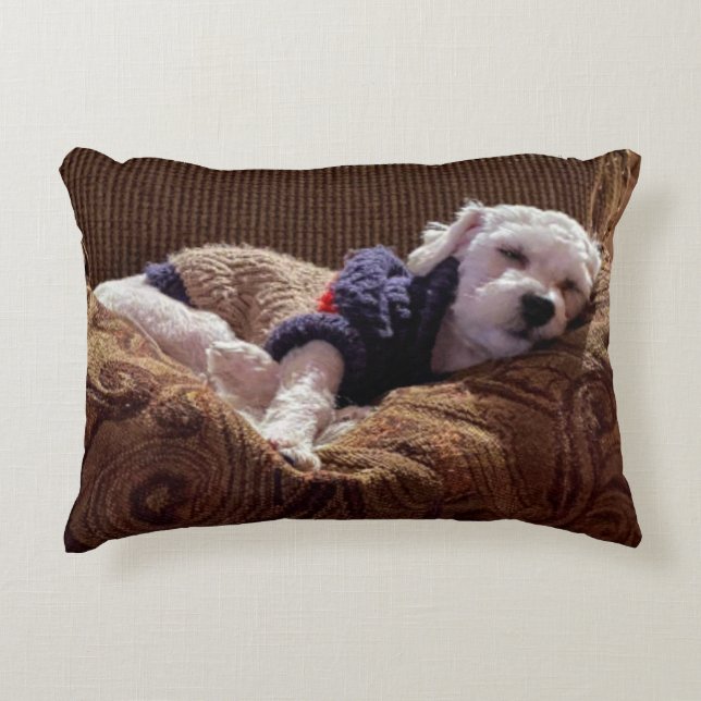 Havanese Welpe Napping - Throw Kissen (Vorderseite)