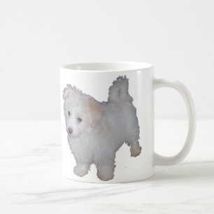 Havanese Welpe Tasse