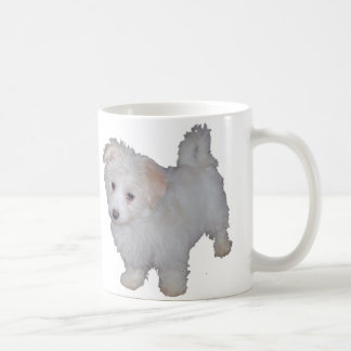 Havanese Welpe Tasse