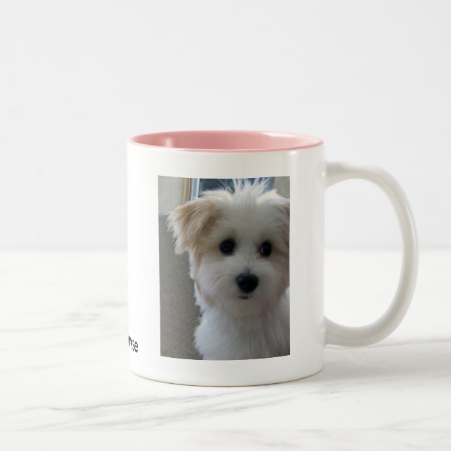 Havanese Welpe Zweifarbige Tasse (Rechts)