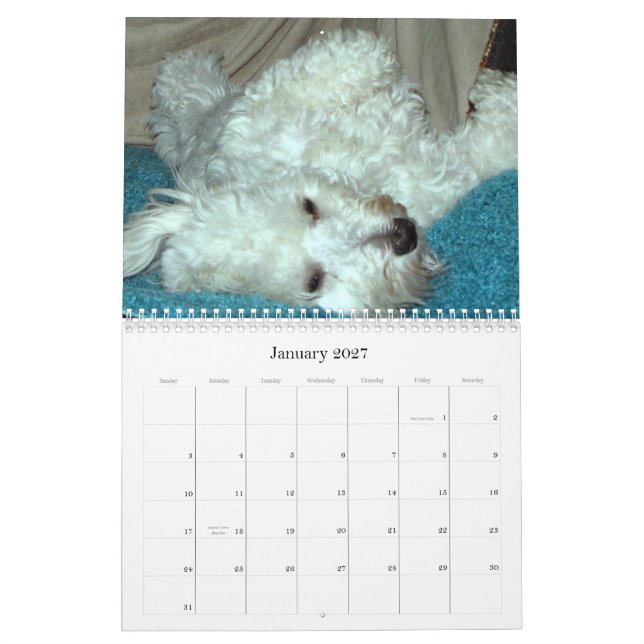 Havanese Welpen-Rettungs-Kalender 2012 Kalender (Jan 2027)