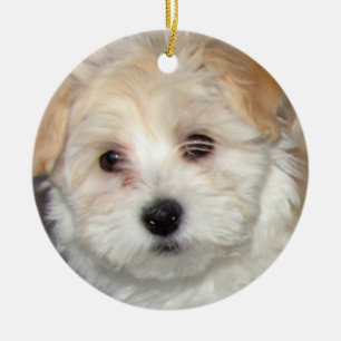Havanese Welpen-Verzierung Keramikornament
