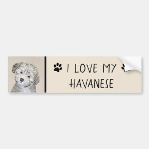 Havanese-Welpenmalerei - Süße originelle Hundekuns Autoaufkleber