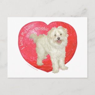 Havanese / Westie Mix Valentine's Day Feiertagspostkarte
