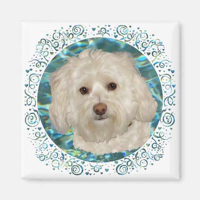 Havanese zum türkisfarbenen Wasser Magnet (Vorne)