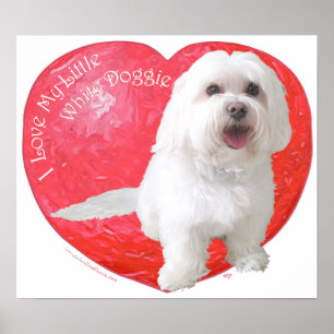 Havaneser Valentinstag Poster