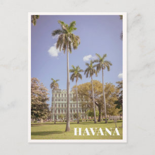 Havanna Kuba Grüne Palmen & Architektur Postkarte