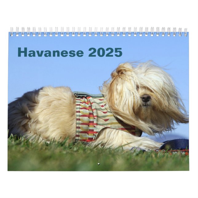 Havanna-Mauerkalender 2025 Kalender (Titelbild)