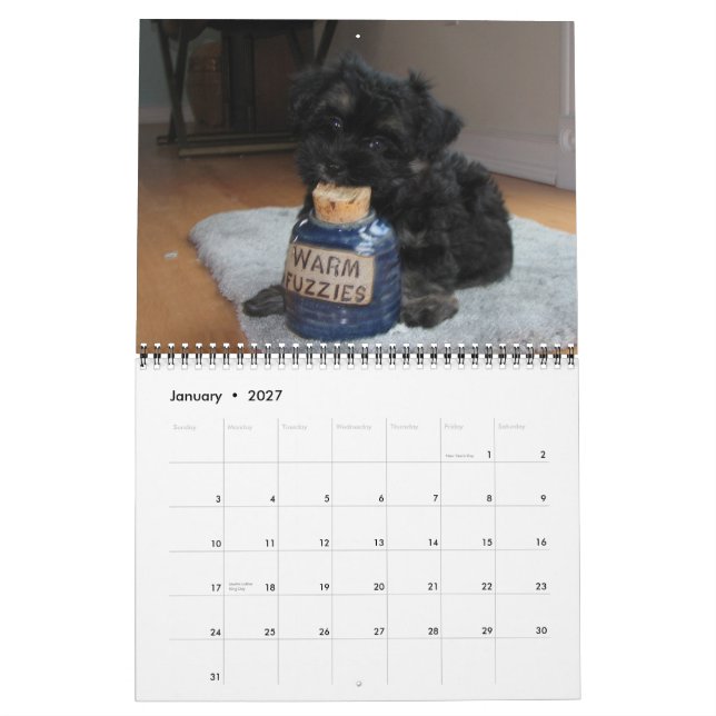 Havanna Rescue Puppies Kalender 2012 (Jan 2027)
