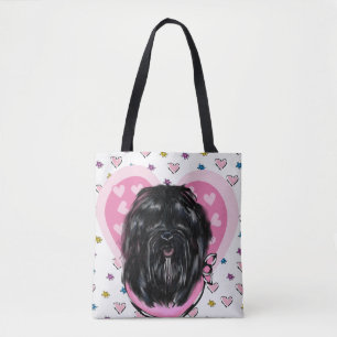 Havanna Seidenhund