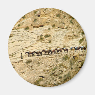 Havasu Canyon Pack Zug Magnet