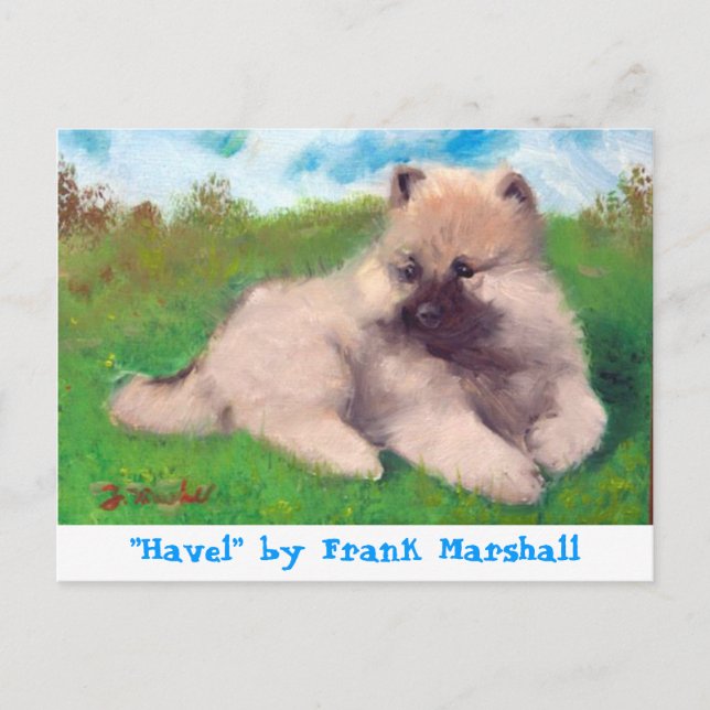 Havel by Frank Marshall Postcard Postkarte (Vorderseite)