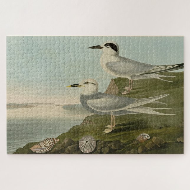 Havell's & Trudeau's Tern Audubon Birds of America Puzzle (Horizontal)