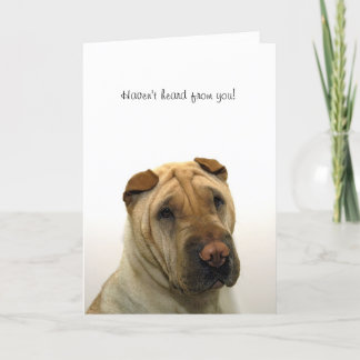 Haven't heard from you karte