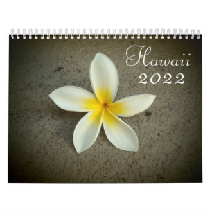Hawaii 2022 landschaftlicher Zielkalender Kalender