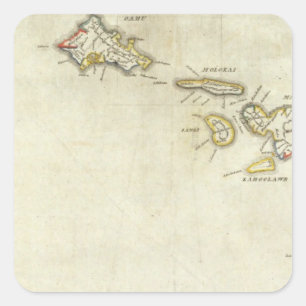 Hawaii 3 quadratischer aufkleber