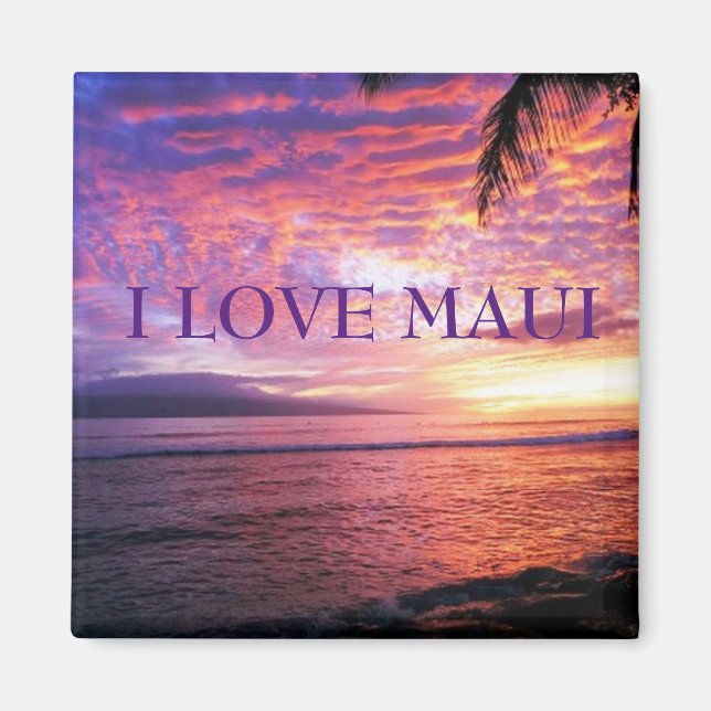 HAWAII-ALOHA-SAMMLUNG MAGNET (Vorne)