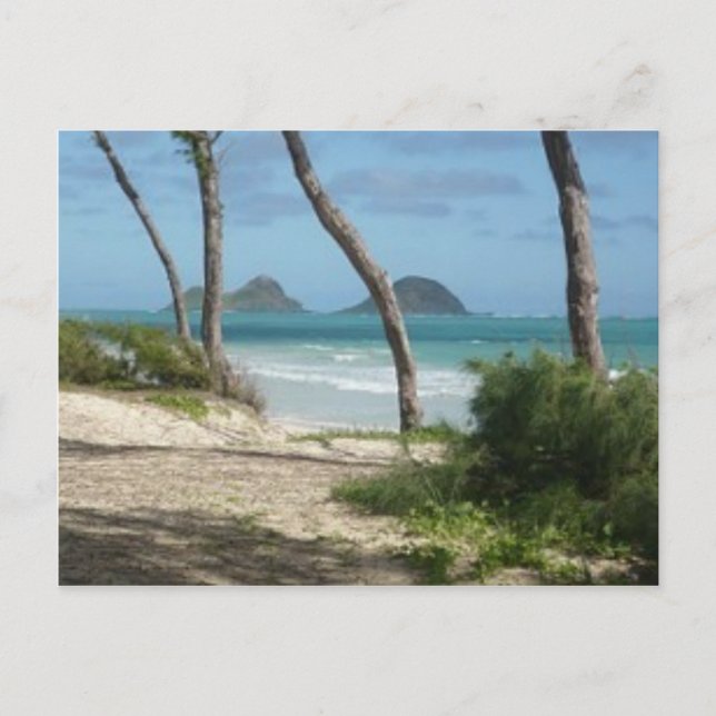 HAWAII-ALOHA-SAMMLUNG POSTKARTE (Vorderseite)