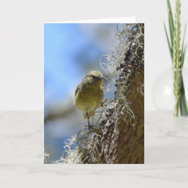 Hawaii Amakihi Karte