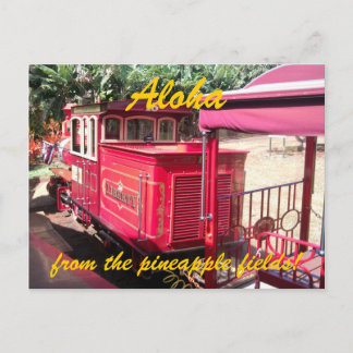 Hawaii Ananas Zug Postkarte
