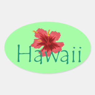 Hawaii-Aufkleber Ovaler Aufkleber