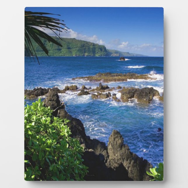 Hawaii Beach Landschaft Fotoplatte (Vorderseite)