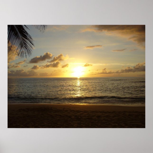 Hawaii Beach Poster (Vorne)
