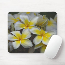 Hawaii Beauty: Die faszinierende Plumeria-Fotograf Mousepad