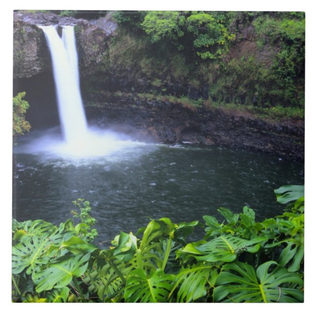 Hawaii, Big Island, Hilo, Rainbow Falls, Lush Fliese (Vorderseite)
