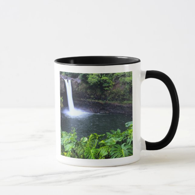 Hawaii, Big Island, Hilo, Rainbow Falls, Lush Tasse (Rechts)