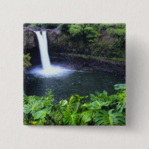 Hawaii, Big Island, Hilo, Rainbow Falls, Üppig Button