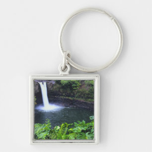 Hawaii, Big Island, Hilo, Rainbow Falls, Üppig Schlüsselanhänger