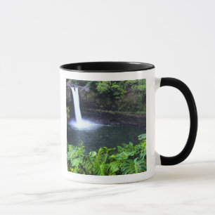 Hawaii, Big Island, Hilo, Rainbow Falls, Üppig Tasse