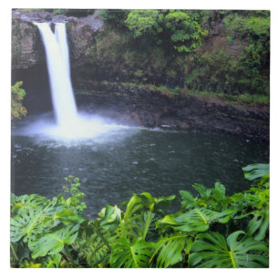 Hawaii, Big Island, Hilo, Regenbogenfälle, Üppig Fliese