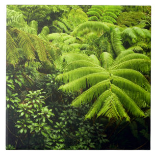Hawaii, Big Island, Üppige tropische Vegetation in Fliese