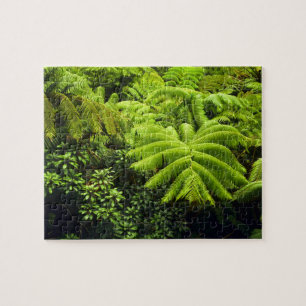 Hawaii, Big Island, Üppige tropische Vegetation in Puzzle