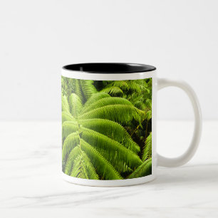 Hawaii, Big Island, Üppige tropische Vegetation in Zweifarbige Tasse