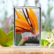 Hawaii Bird of Paradise Pflanze Blume